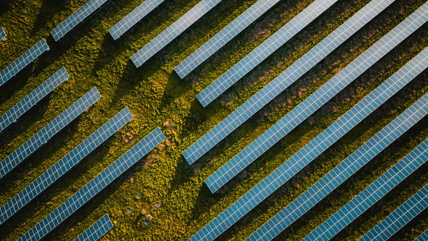 Aerial shot of solar panels