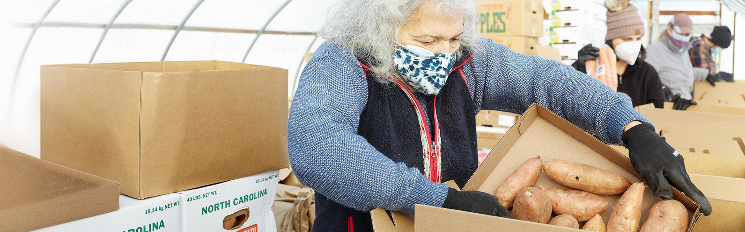 Woman at Boston Area Gleaners packing food