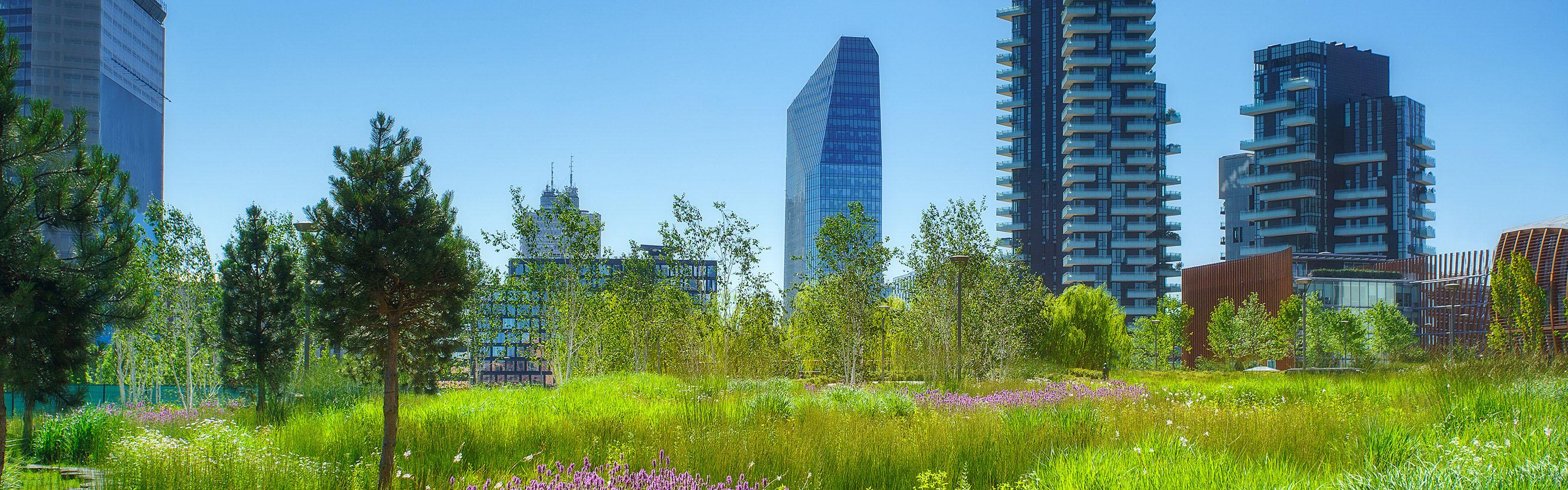 Cityscape with a nature area with trees and open fields in the foreground