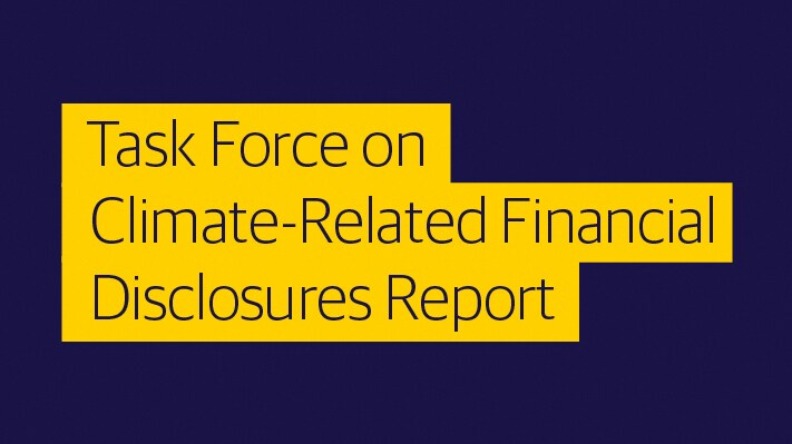 Task Force on Climate-Related Financial Disclosures Report