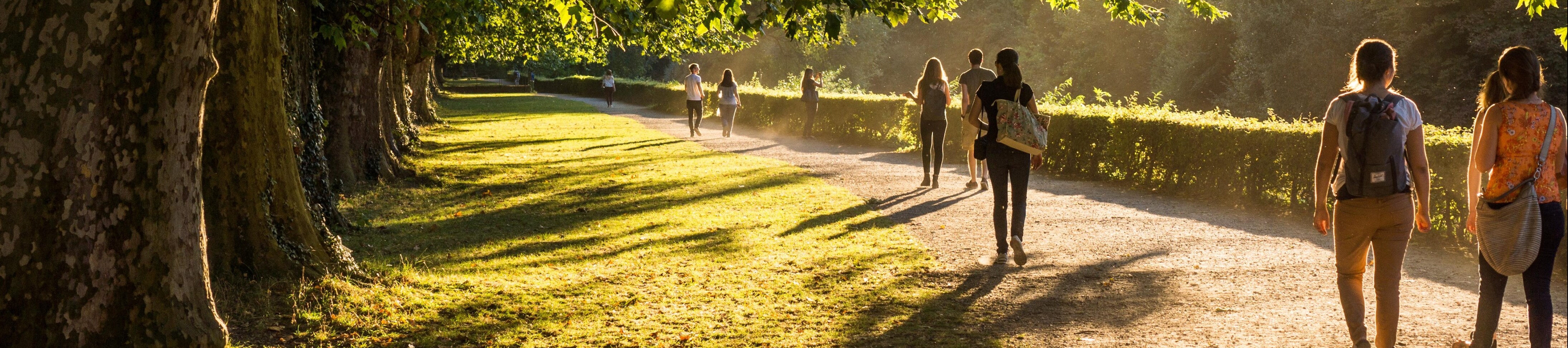 People out walking on a tree-lined path