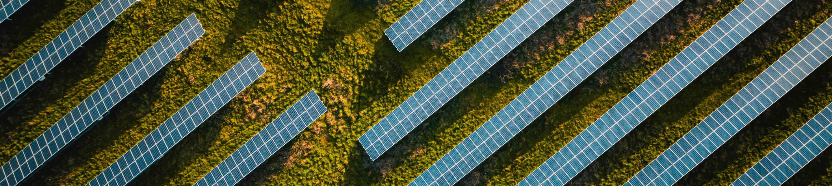 Aerial view of solar panels